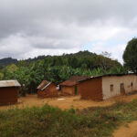 Rando dans les Monts Usambara