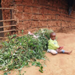 Rando dans les Monts Usambara