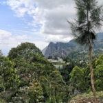 Rando dans les Monts Usambara