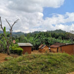 Rando dans les Monts Usambara