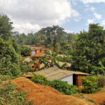 Rando dans les Monts Usambara