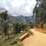 Rando dans les Monts Usambara