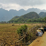 Mai Chau