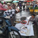 Courses en scooter