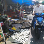 Courses en scooter