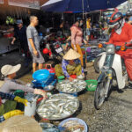 Courses en scooter