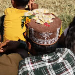 Topi