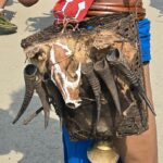 Accessoires wanchos