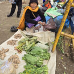 Marché tribal
