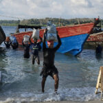 Au port de Havelock