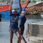 Au port de Havelock