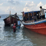 Au port de Havelock