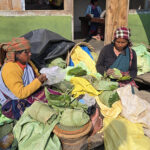 Andes ou Inde?