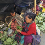 Andes ou Inde?