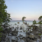 Marée basse …