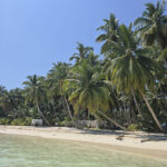 « Un petit paradis »