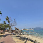 Ross Island