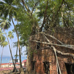 Ross Island