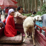 2009   En route pour le Tibet!