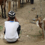 2009   En route pour le Tibet!