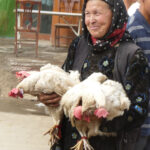 2009   En route pour le Tibet!