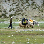 2009   Le Tibet et le Mont Kailash
