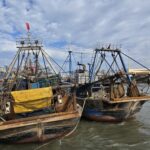 Pêche à Essaouira