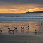 Essaouira : plage