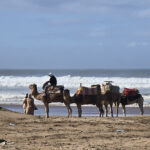 Essaouira : plage