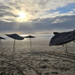 Essaouira : plage