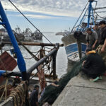 Pêche à Essaouira
