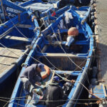 Barques bleues
