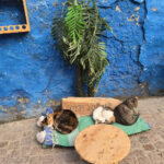 Chats d&rsquo;Essaouira