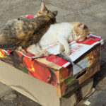 Un petit air de Grèce