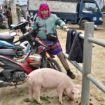 Marché de Bac Ha