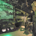 Maze Bar