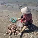 Village de pêcheurs