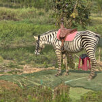 Tunnel de sculptures