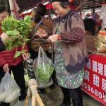 Marché populaire