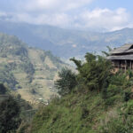 Tableaux de rizières