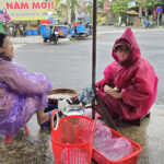 Marché de Tam Tien