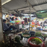 Marché de Tam Tien