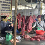Marché de Tam Tien