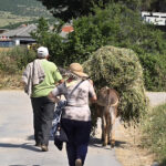 Lac Prespa
