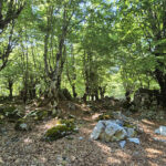 Rando à Valbona