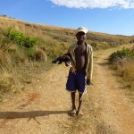 Trek dans l’Andringitra