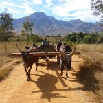 Trek dans l’Andringitra