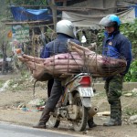 Retour de marché à Bac ha - Vietnam