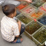 Marché d’enfants ?