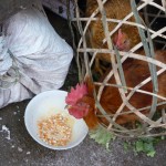 Au marché de Cao Bang - Vietnam -